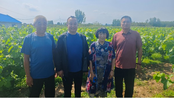 芯生機唯納希元素防治桑樹菌核病效果顯著 為青島萊西桑果種植添力賦能