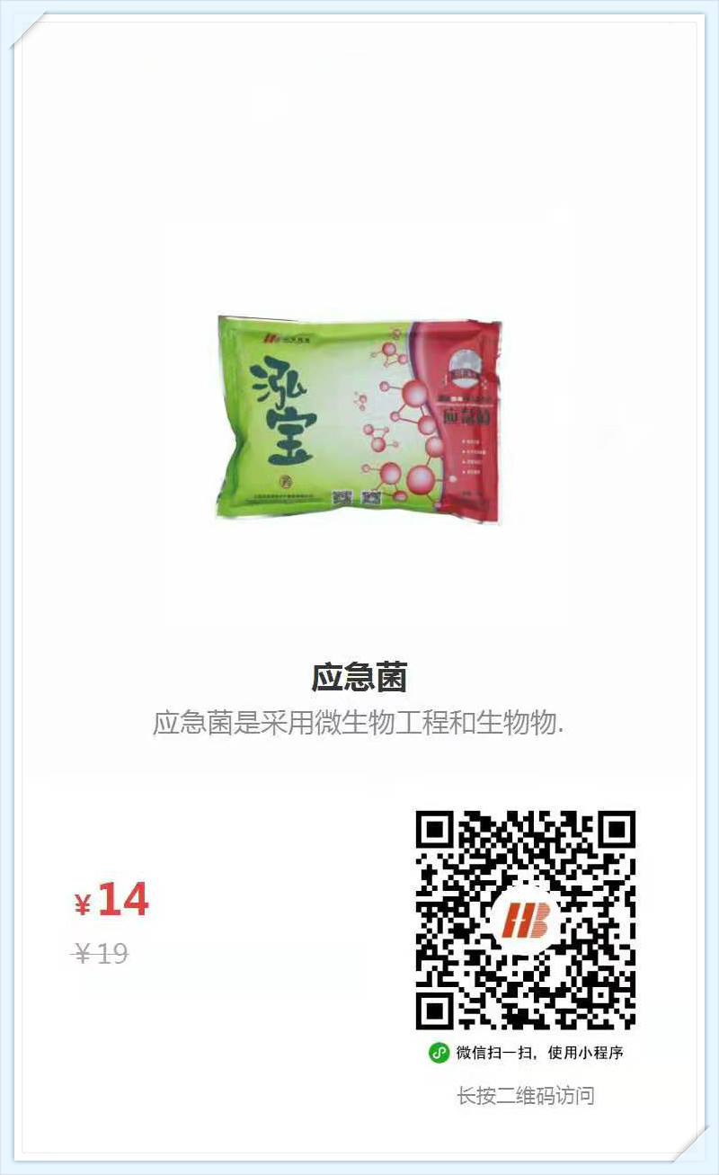 5、應急菌